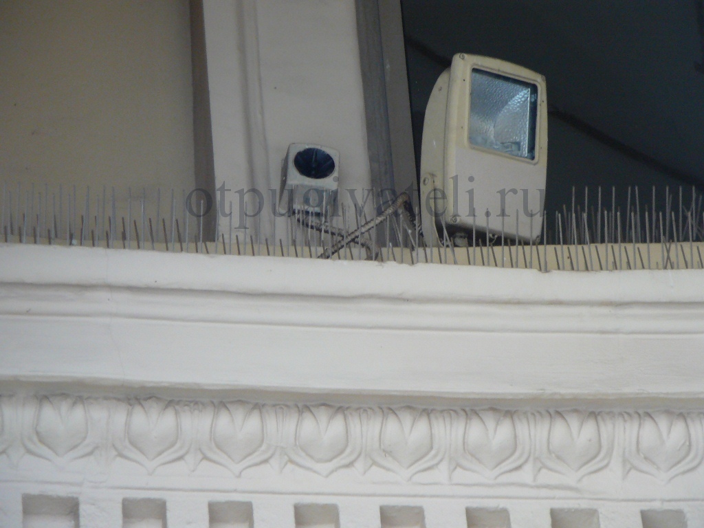 Динамик Pro Plus и противоприсадные шипы защищают от птиц Курскую станцию московского метрополитена