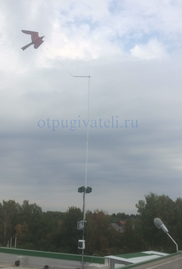 Super Pro и Super Pro и