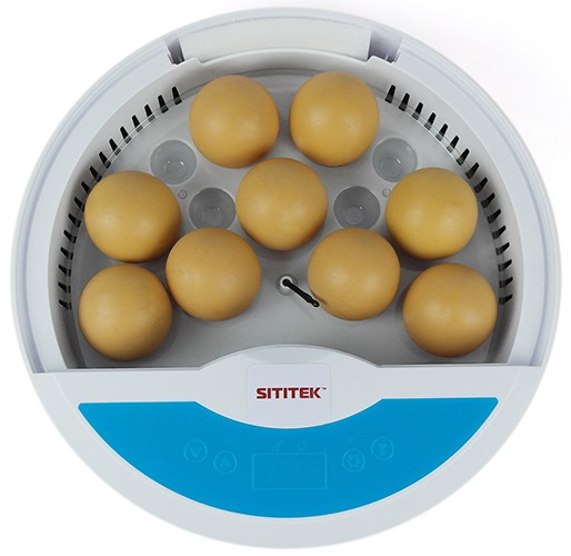 Автоматический мини инкубатор для куриных и перепелиных яиц SITITEK 9 LED