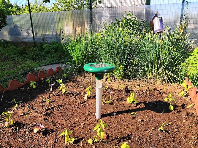 Отпугиватель кротов 