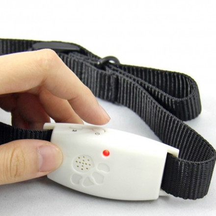 Ошейник от блох и клещей Ошейник от блох и клещей