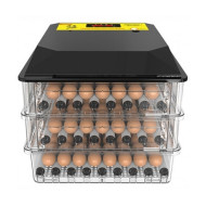 Автоматический инкубатор для яиц "SITITEK 196" Автоматический инкубатор для яиц "SITITEK 196"