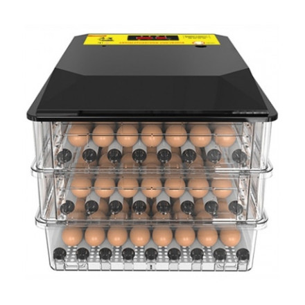 Автоматический инкубатор для яиц "SITITEK 196"