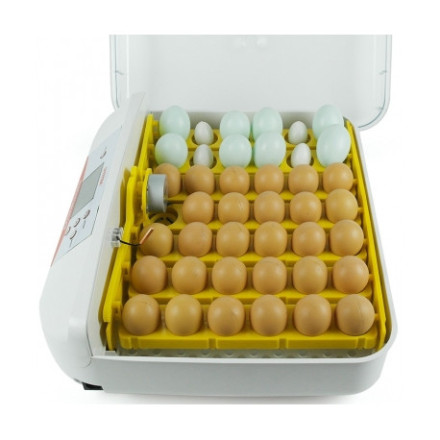 Домашний инкубатор для яиц "SITITEK 40" Домашний инкубатор для яиц "SITITEK 40"