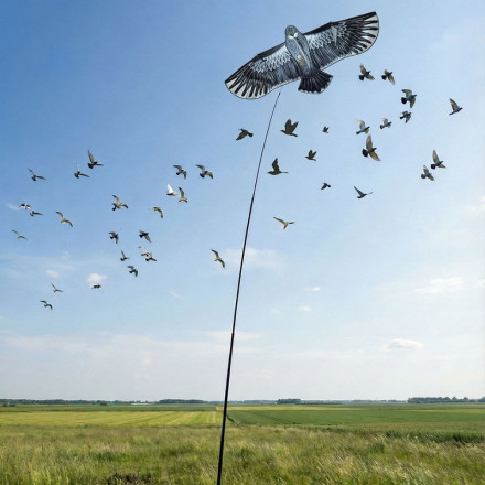 Отпугиватель птиц "SITITEK Кондор-180" Отпугиватель птиц "SITITEK Кондор-180"